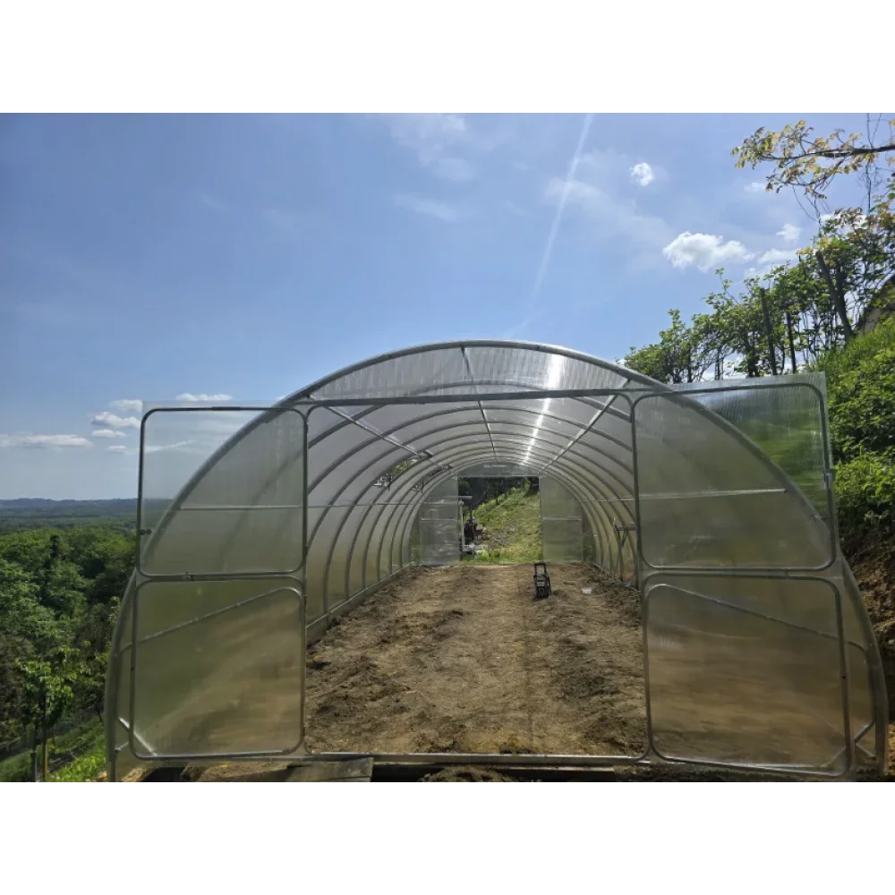 Greenhouse Palace 4M