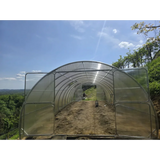 Greenhouse Palace 4M