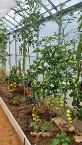 Greenhouse Gardener Wide 4M