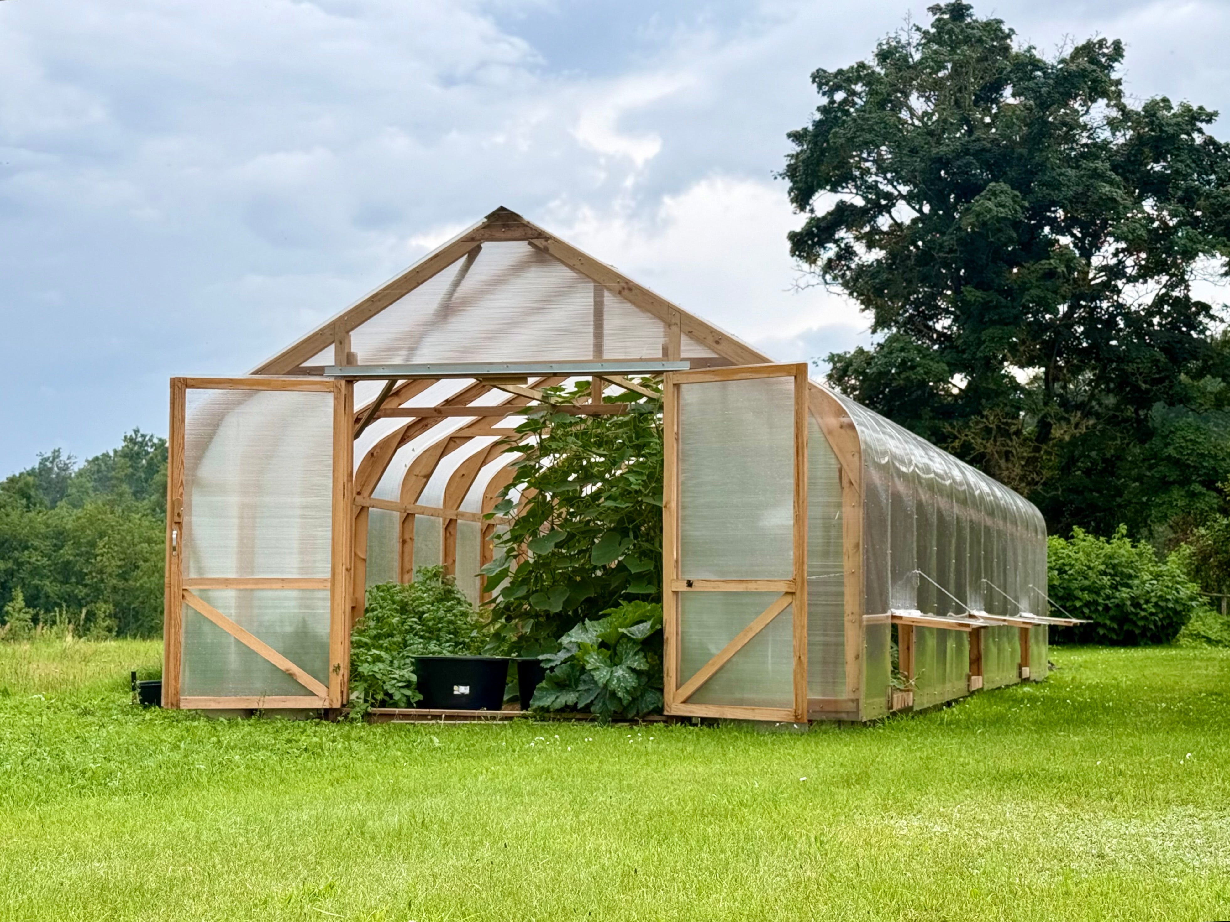 Classic Wood greenhouse 4.5M