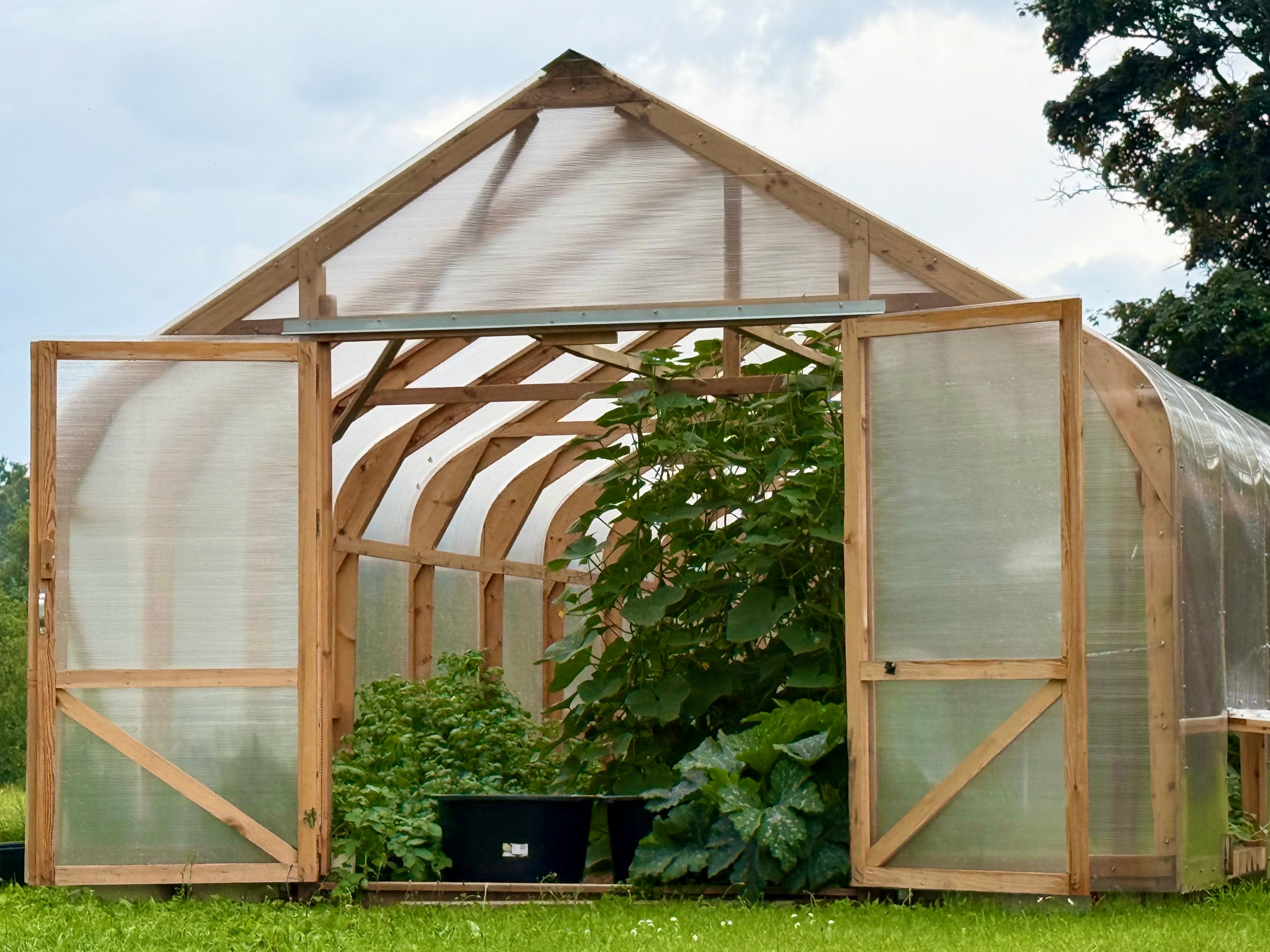 Classic Wood greenhouse 4.5M