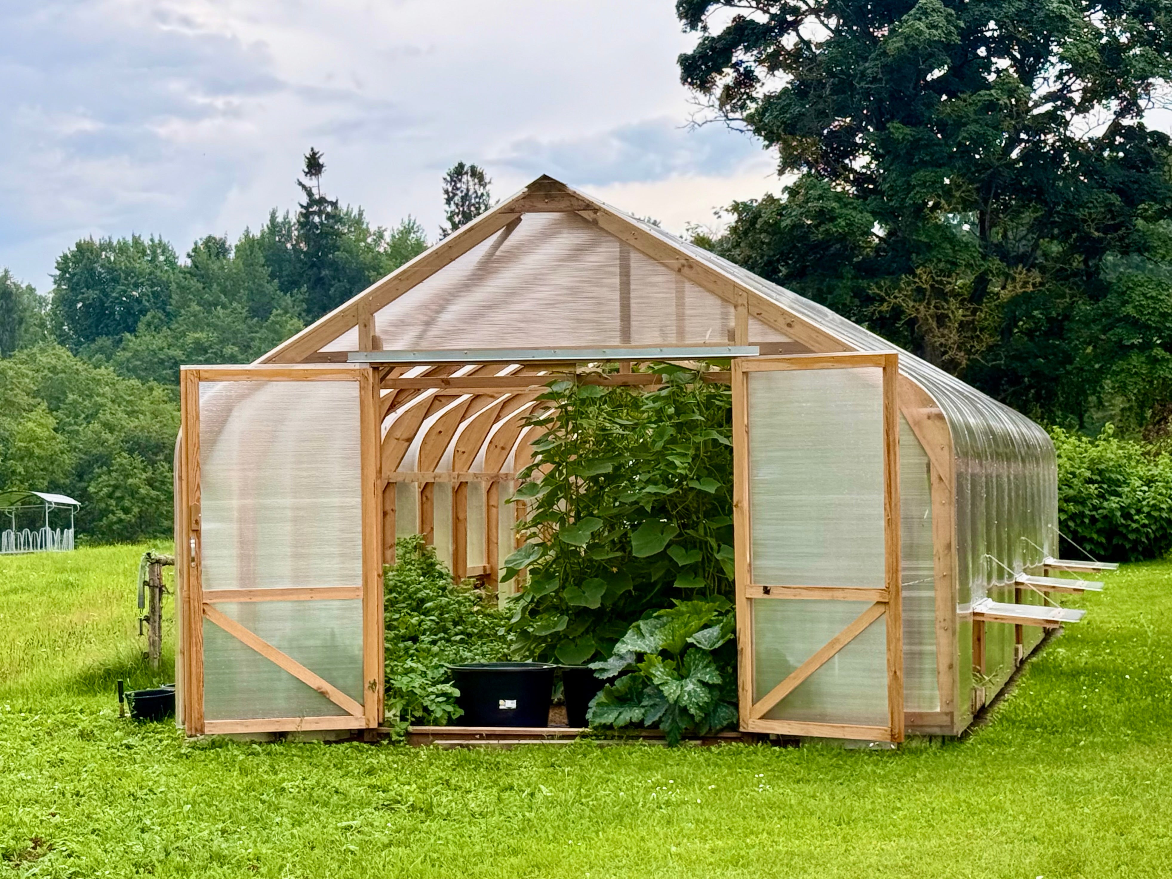 Classic Wood greenhouse 4.5M
