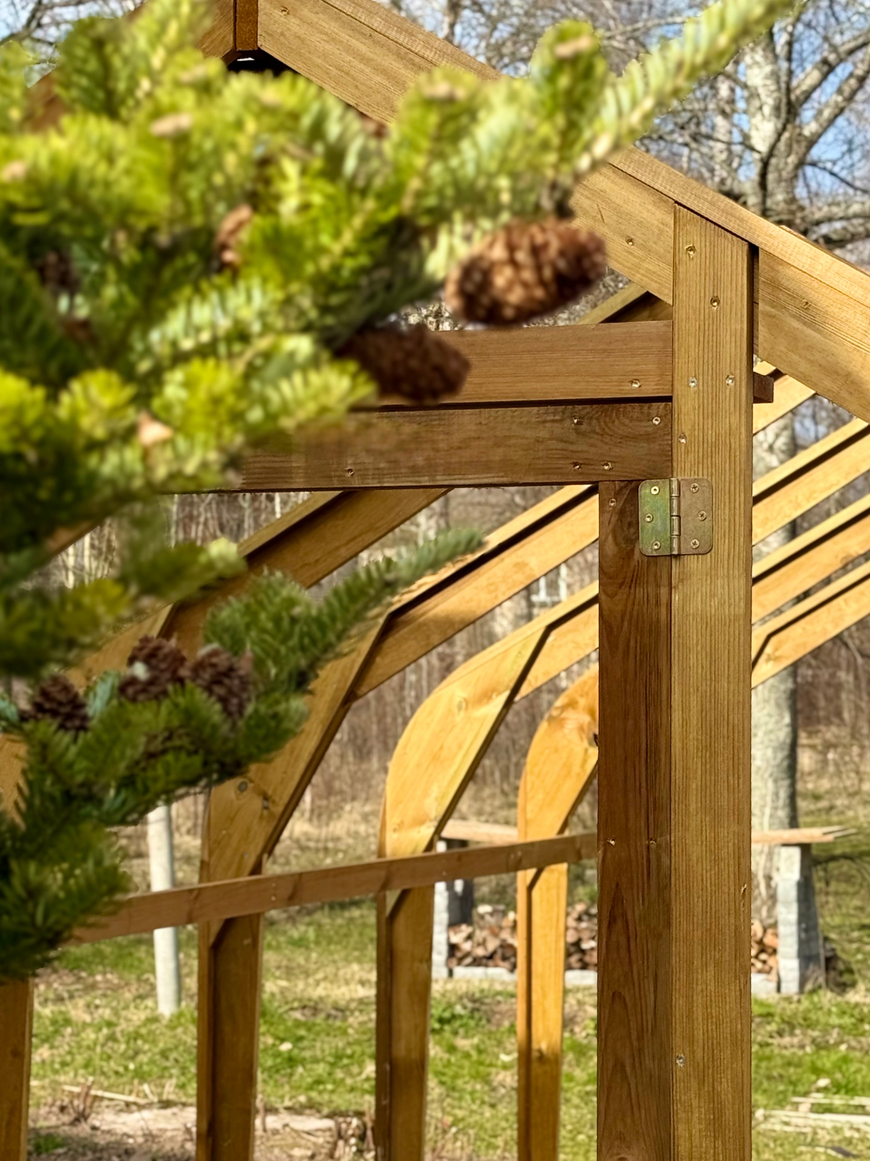 Classic Wood greenhouse 3M