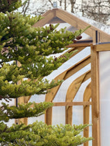 Classic Wood greenhouse 3M