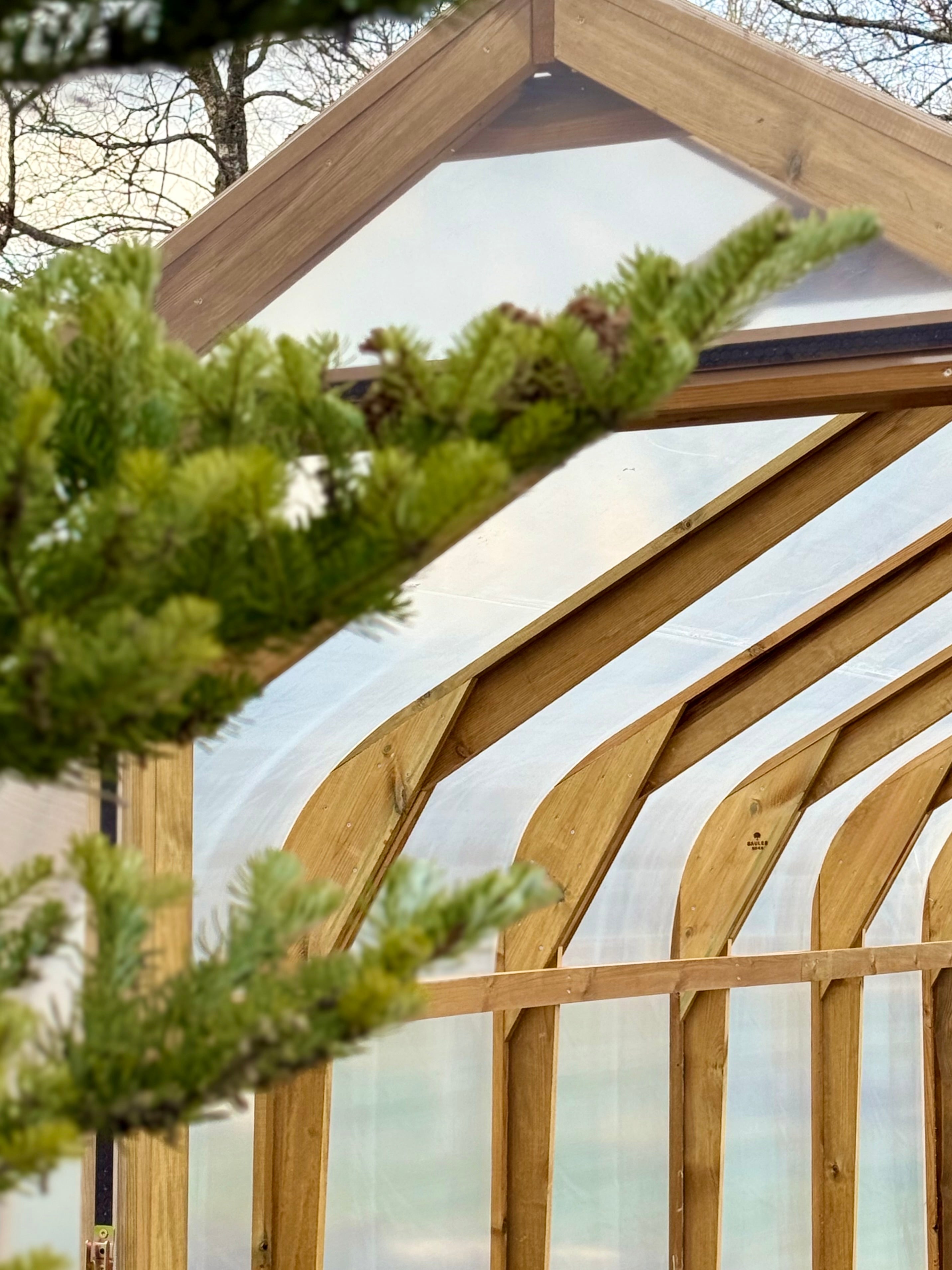 Classic Wood greenhouse 3M