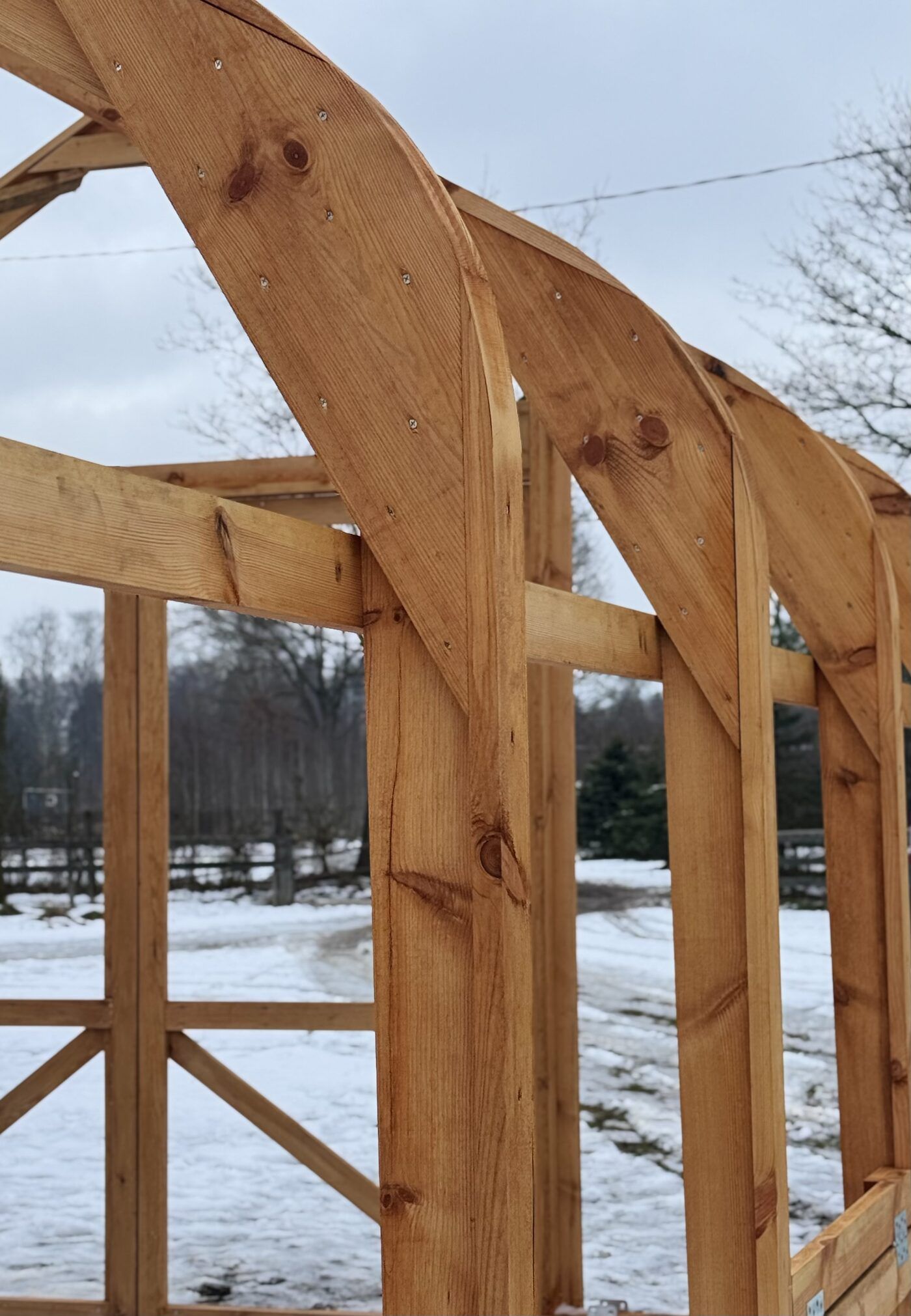 Classic Wood greenhouse 4.5M