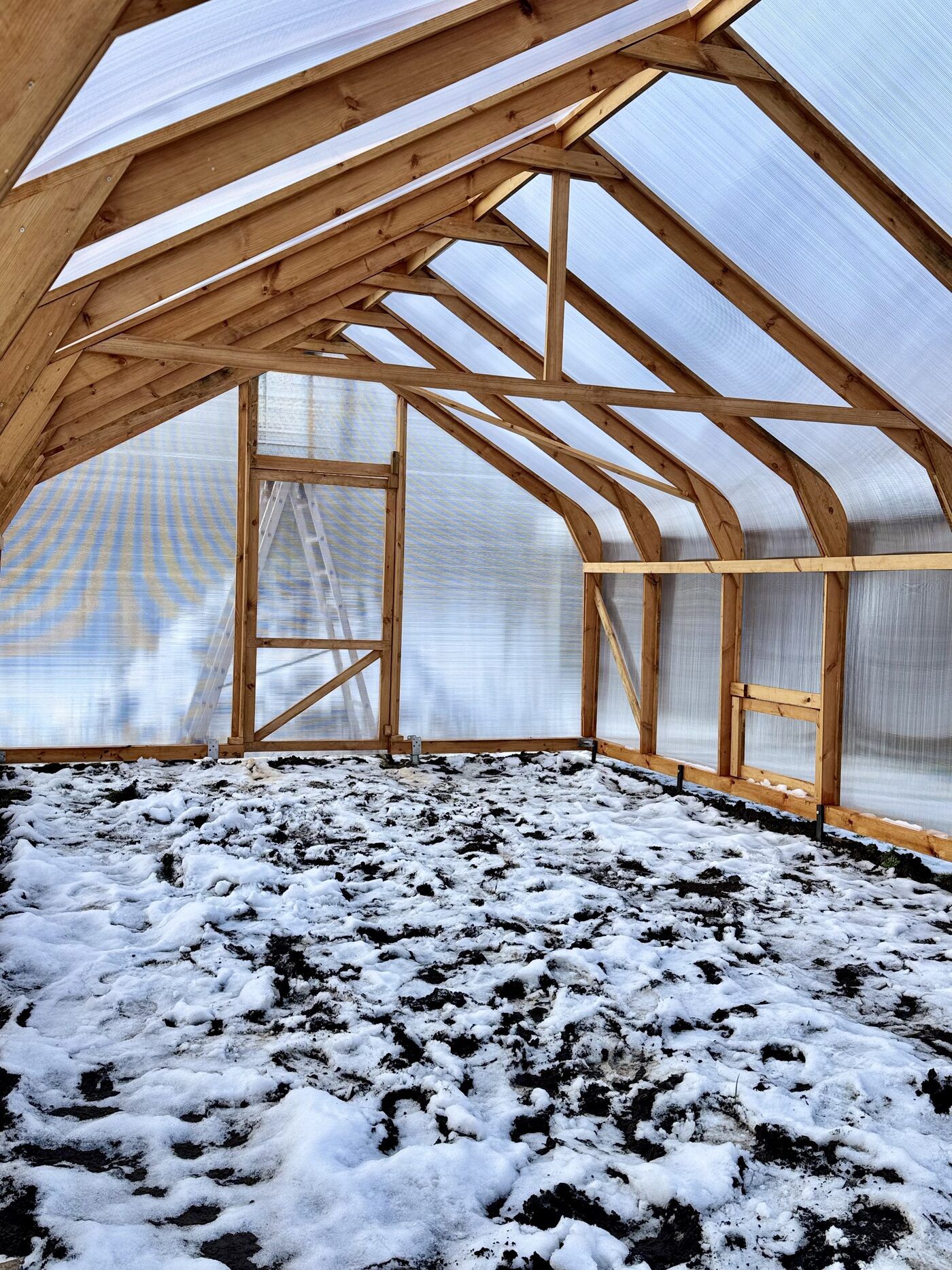 Classic Wood greenhouse 4.5M