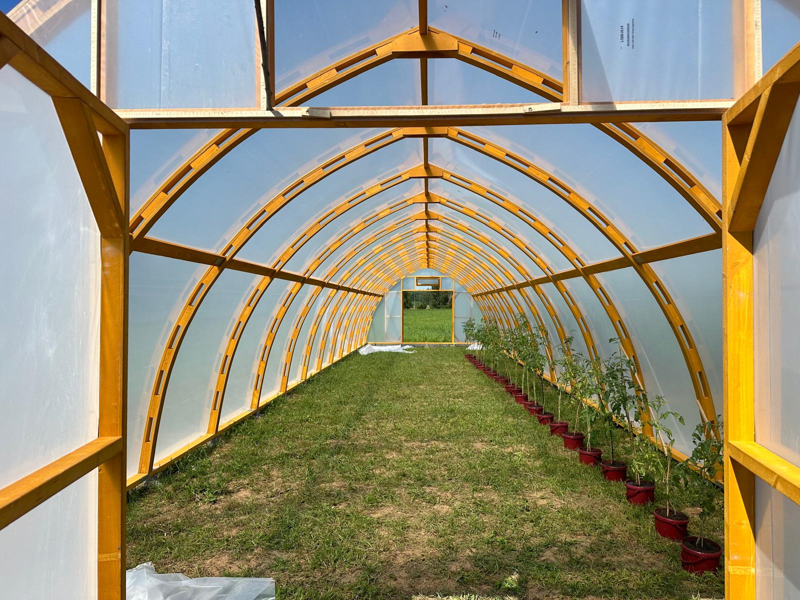 Arched wood greenhouse 7M